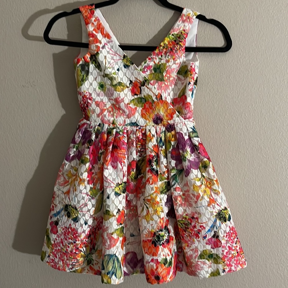 ALIVIA SIMONE MARINI Pleated DRESS RN 144542 size 6. Organza Floral Print New!